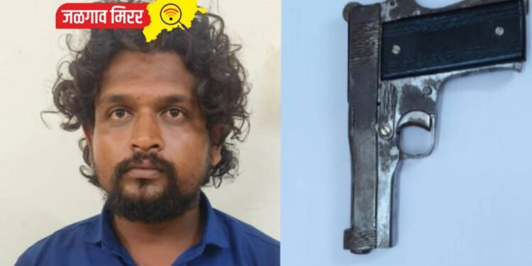 एलसीबीची कारवाई : गावठी पिस्तूल घेऊन दहशत माजविणारा अटकेत