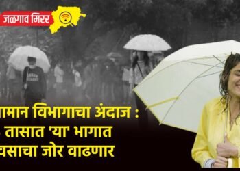 हवामान विभागाचा अंदाज : २४ तासात ‘या’ भागात पावसाचा जोर वाढणार