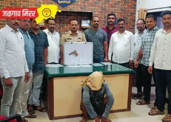 गावठी पिस्तूल, दोन जिवंत काडतूससह एकाला अटक