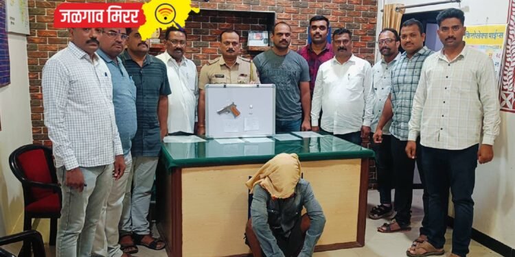 गावठी पिस्तूल, दोन जिवंत काडतूससह एकाला अटक