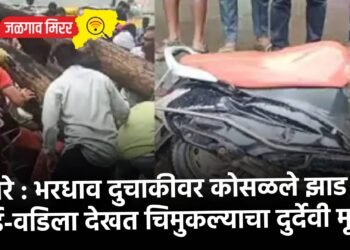 बापरे : भरधाव दुचाकीवर कोसळले झाड : आई-वडिला देखत चिमुकल्याचा दुर्देवी मृत्यू