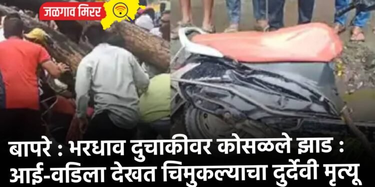 बापरे : भरधाव दुचाकीवर कोसळले झाड : आई-वडिला देखत चिमुकल्याचा दुर्देवी मृत्यू