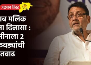 नवाब मलिक यांना दिलासा : जामीनाला २ आठवड्यांची मुदतवाढ