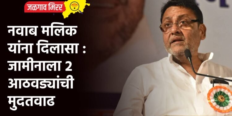 नवाब मलिक यांना दिलासा : जामीनाला २ आठवड्यांची मुदतवाढ