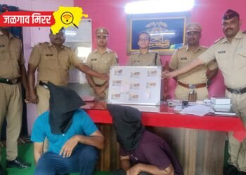 ७ गुन्ह्याची कबुली, तीन लाख रुपये मुद्देमालासह दोघांना पोलिसांनी ठोकल्या बेड्या