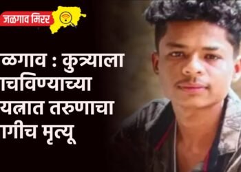 जळगाव : कुत्र्याला वाचविण्याच्या प्रयत्नात तरुणाचा जागीच मृत्यू