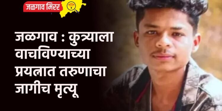 जळगाव : कुत्र्याला वाचविण्याच्या प्रयत्नात तरुणाचा जागीच मृत्यू