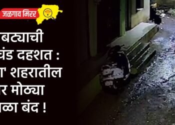 बिबट्याची प्रचंड दहशत : ‘या’ शहरातील चार मोठ्या शाळा बंद !
