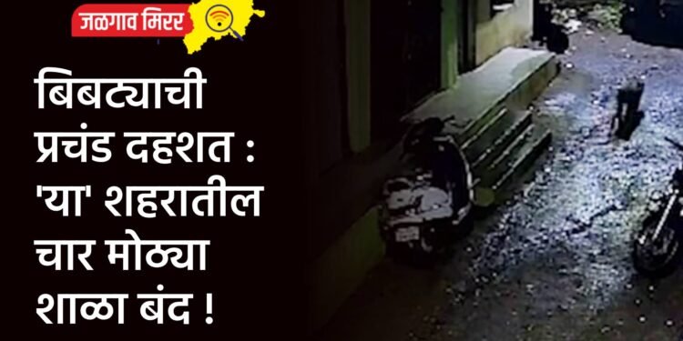 बिबट्याची प्रचंड दहशत : ‘या’ शहरातील चार मोठ्या शाळा बंद !