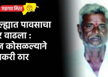 जिल्ह्यात पावसाचा जोर वाढला : वीज कोसळल्याने शेतकरी ठार