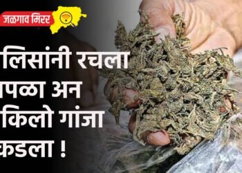 पोलिसांनी रचला सापळा अन ४ किलो गांजा पकडला !