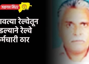 धावत्या रेल्वेतून पडल्याने रेल्वे कर्मचारी ठार