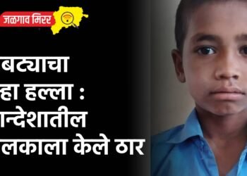 बिबट्याचा पुन्हा हल्ला : खान्देशातील बालकाला केले ठार