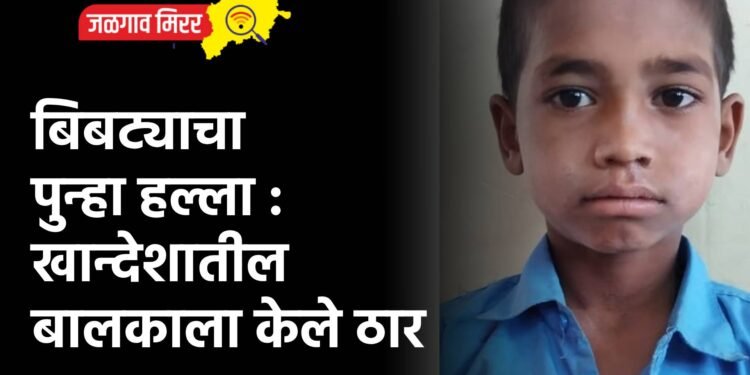 बिबट्याचा पुन्हा हल्ला : खान्देशातील बालकाला केले ठार