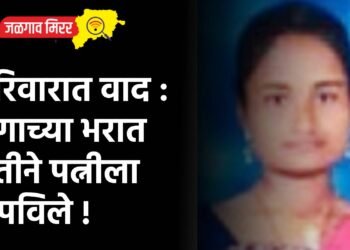 परिवारात वाद : रागाच्या भरात पतीने पत्नीला संपविले !