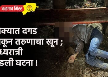 डोक्यात दगड टाकून तरुणाचा खून ; मध्यरात्री घडली घटना !