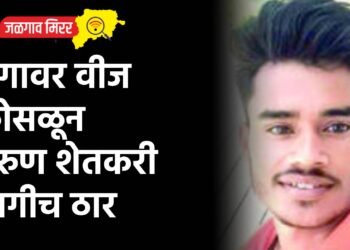 अंगावर वीज कोसळून तरुण शेतकरी जागीच ठार