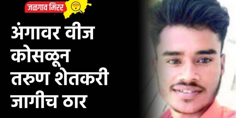 अंगावर वीज कोसळून तरुण शेतकरी जागीच ठार