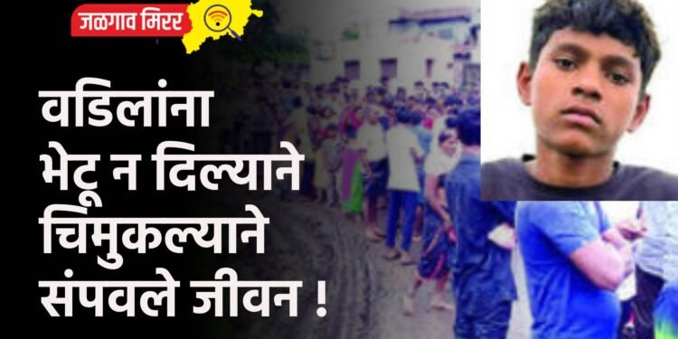 वडिलांना भेटू न दिल्याने चिमुकल्याने संपवले जीवन !