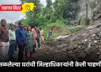 कोसळलेल्या घरांची जिल्हाधिकाऱ्यांनी केली पाहणी !