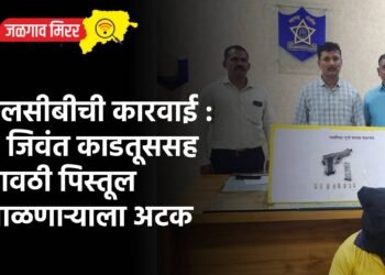 एलसीबीची कारवाई : ८ जिवंत काडतूससह गावठी पिस्तूल बाळणाऱ्याला अटक