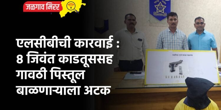 एलसीबीची कारवाई : ८ जिवंत काडतूससह गावठी पिस्तूल बाळणाऱ्याला अटक