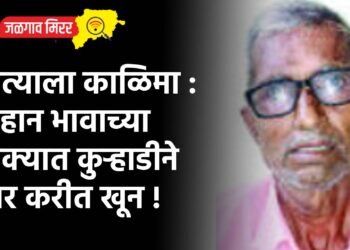 नात्याला काळिमा : लहान भावाच्या डोक्यात कुऱ्हाडीने वार करीत खून !