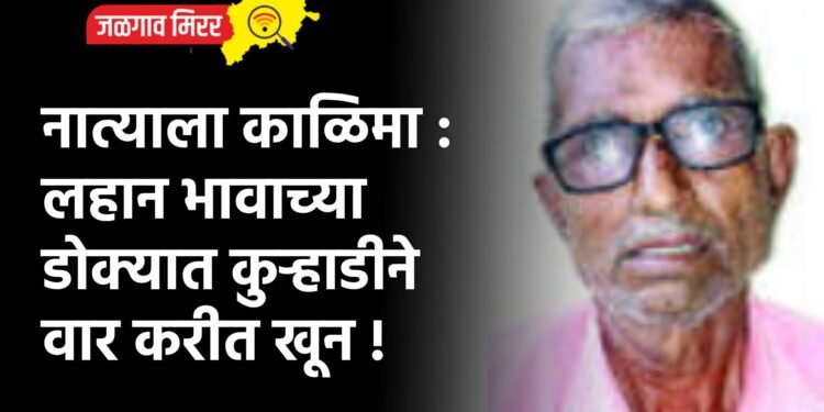 नात्याला काळिमा : लहान भावाच्या डोक्यात कुऱ्हाडीने वार करीत खून !