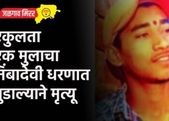 एकुलता एक मुलाचा निंबादेवी धरणात बुडाल्याने मृत्यू