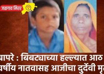 बापरे : बिबट्याच्या हल्ल्यात आठ वर्षीय नातवासह आजीचा दुर्देवी मृत्यू