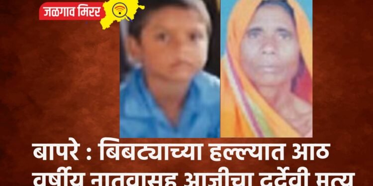 बापरे : बिबट्याच्या हल्ल्यात आठ वर्षीय नातवासह आजीचा दुर्देवी मृत्यू