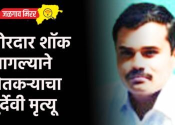 जोरदार शॉक लागल्याने शेतकऱ्याचा दुर्देवी मृत्यू