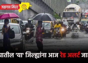 राज्यातील ‘या’ जिल्ह्यांना आज रेड अलर्ट जाहीर
