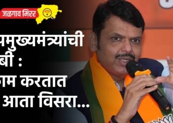 उपमुख्यमंत्र्यांची तंबी : काम करतात ते आता विसरा…