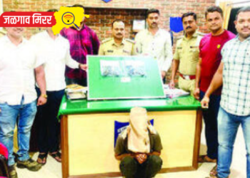 दोन गावठी पिस्तूल, जिवंत काडतूसासह संशयित पोलिसांच्या ताब्यात