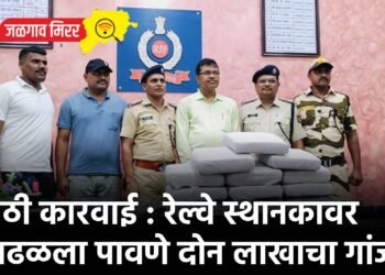 मोठी कारवाई : रेल्वे स्थानकावर आढळला पावणे दोन लाखाचा गांजा