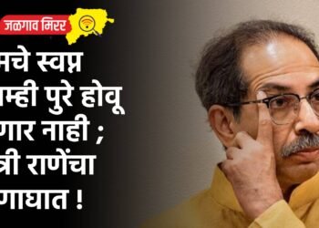तुमचे स्वप्न आम्ही पुरे होवू देणार नाही ; मंत्री राणेंचा घणाघात !