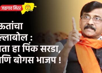 राऊतांचा हल्लाबोल : आता हा पिंक सरडा, आणि बोगस भाजप !