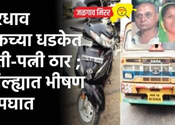 भरधाव ट्रकच्या धडकेत पती-पत्नी ठार ; जिल्ह्यात भीषण अपघात