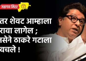 …तर शेवट आम्हाला करावा लागेल ; मनसेने ठाकरे गटाला डिवचले !