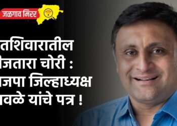 शेतशिवारातील वीजतारा चोरी : भाजपा जिल्हाध्यक्ष जावळे यांचे पत्र !