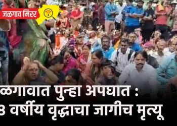 जळगावात पुन्हा अपघात : ७८ वर्षीय वृद्धाचा जागीच मृत्यू