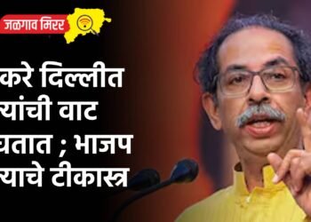 ठाकरे दिल्लीत नेत्यांची वाट बघतात ; भाजप नेत्याचे टीकास्त्र