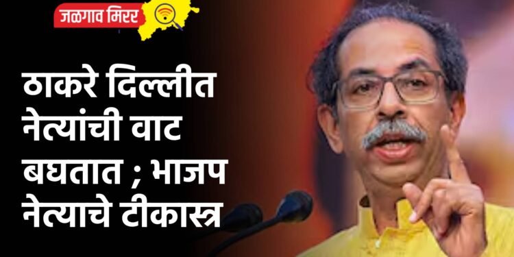 ठाकरे दिल्लीत नेत्यांची वाट बघतात ; भाजप नेत्याचे टीकास्त्र