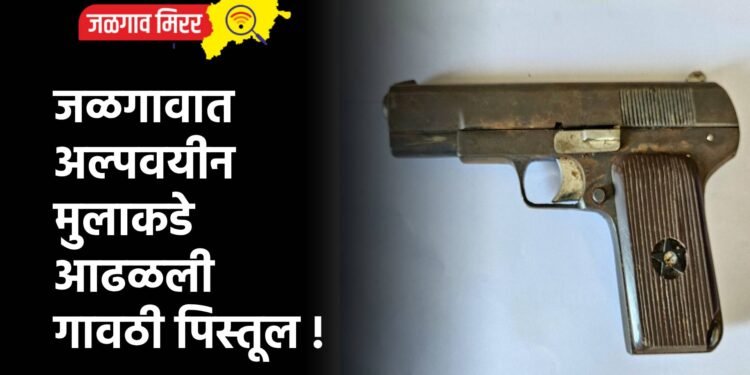 जळगावात अल्पवयीन मुलाकडे आढळली गावठी पिस्तूल !