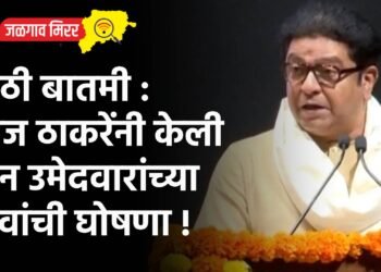 मोठी बातमी : राज ठाकरेंनी केली दोन उमेदवारांच्या नावांची घोषणा !