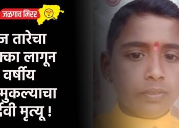 वीज तारेचा धक्का लागून १२ वर्षीय चिमुकल्याचा दुर्दैवी मृत्यू !