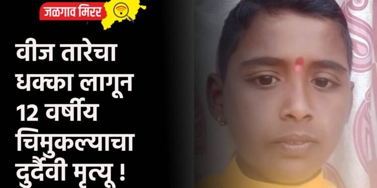 वीज तारेचा धक्का लागून १२ वर्षीय चिमुकल्याचा दुर्दैवी मृत्यू !