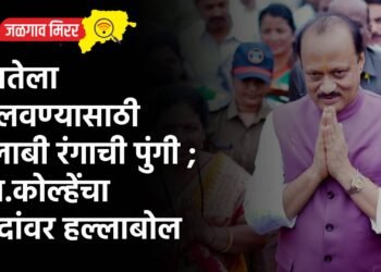 जनतेला डोलवण्यासाठी गुलाबी रंगाची पुंगी ; खा.कोल्हेंची दादांवर हल्लाबोल