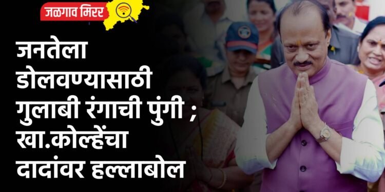 जनतेला डोलवण्यासाठी गुलाबी रंगाची पुंगी ; खा.कोल्हेंची दादांवर हल्लाबोल